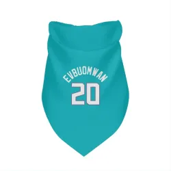 Charlotte Hornets Tosan Evbuomwan Teal Pet Bandana for Dog & Cat