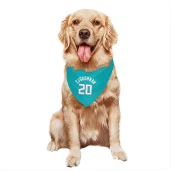 Charlotte Hornets Tosan Evbuomwan Teal Pet Bandana for Dog & Cat