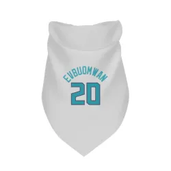 Charlotte Hornets Tosan Evbuomwan White Pet Bandana for Dog & Cat
