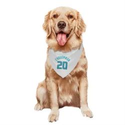 Charlotte Hornets Tosan Evbuomwan White Pet Bandana for Dog & Cat
