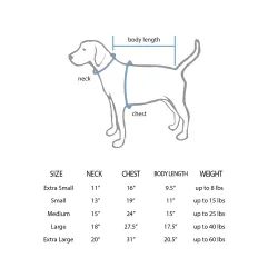 Charlotte Hornets Tosan Evbuomwan White Pet Jersey for Dog & Cat