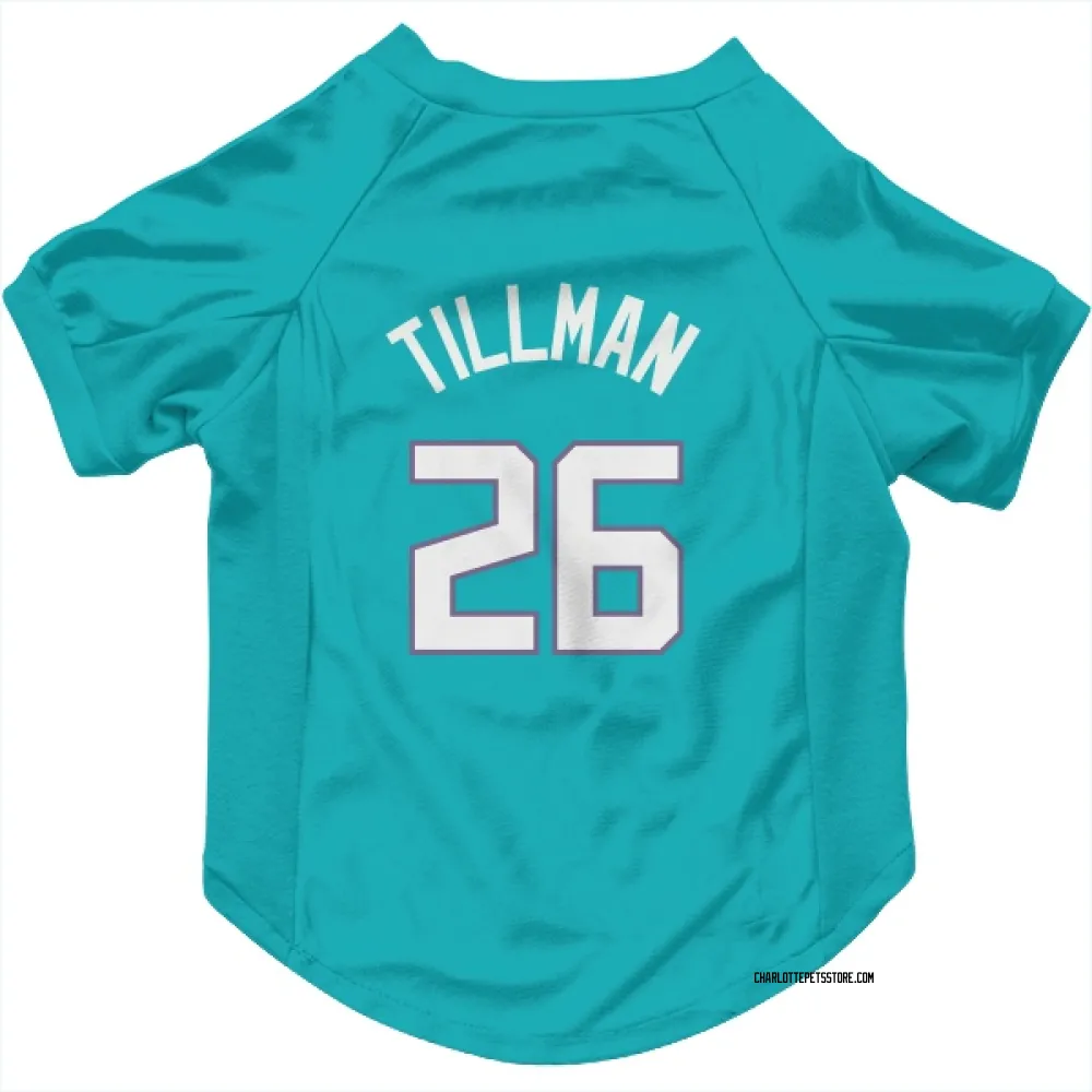 Charlotte Hornets Xavier Tillman Teal Pet Jersey for Dog & Cat